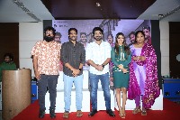 Nenu Meeku Baga Kavalsina Vadini Movie Trailer Launch